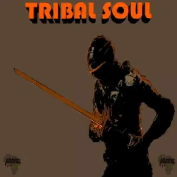 Tribal Soul - New Day
